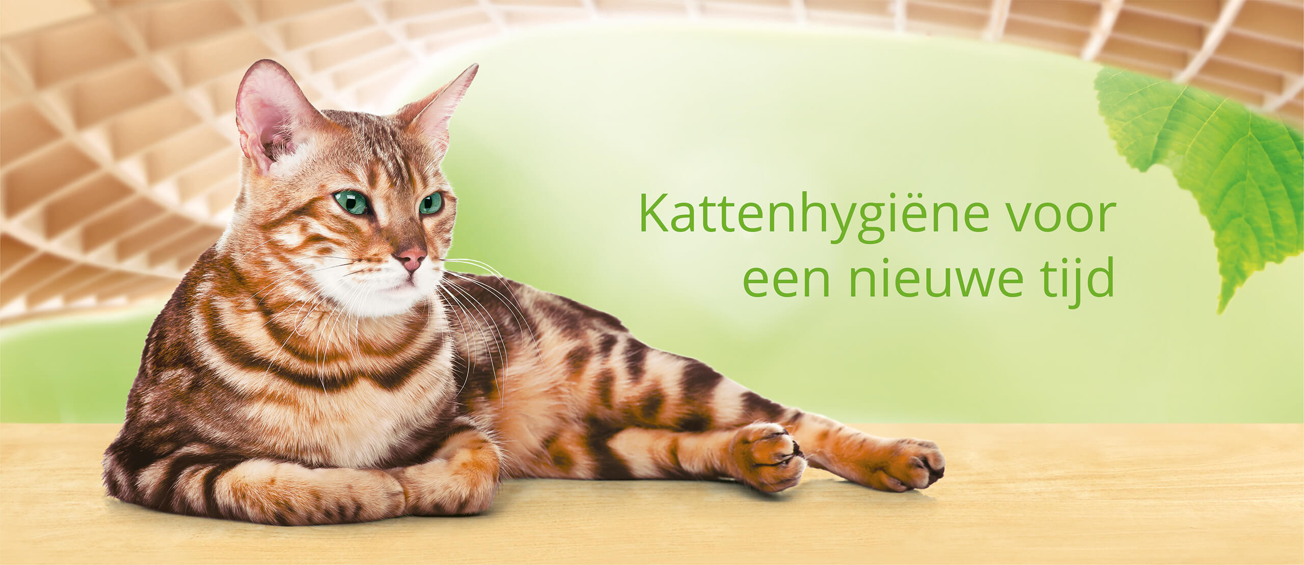 (c) Catsbest.nl